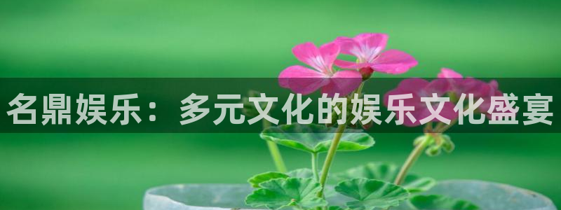 糖果派对免费体验网址