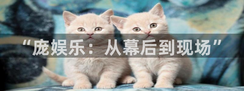 糖果派对版