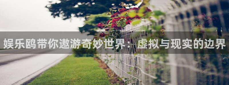 糖果派对8000倍图片